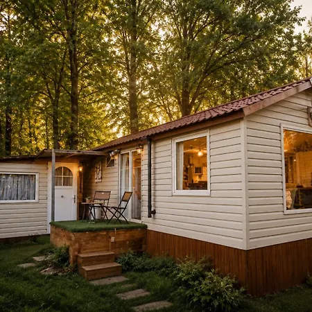 Διαμέρισμα In De Ardennen Comfort & Stilte The Wood Amblève